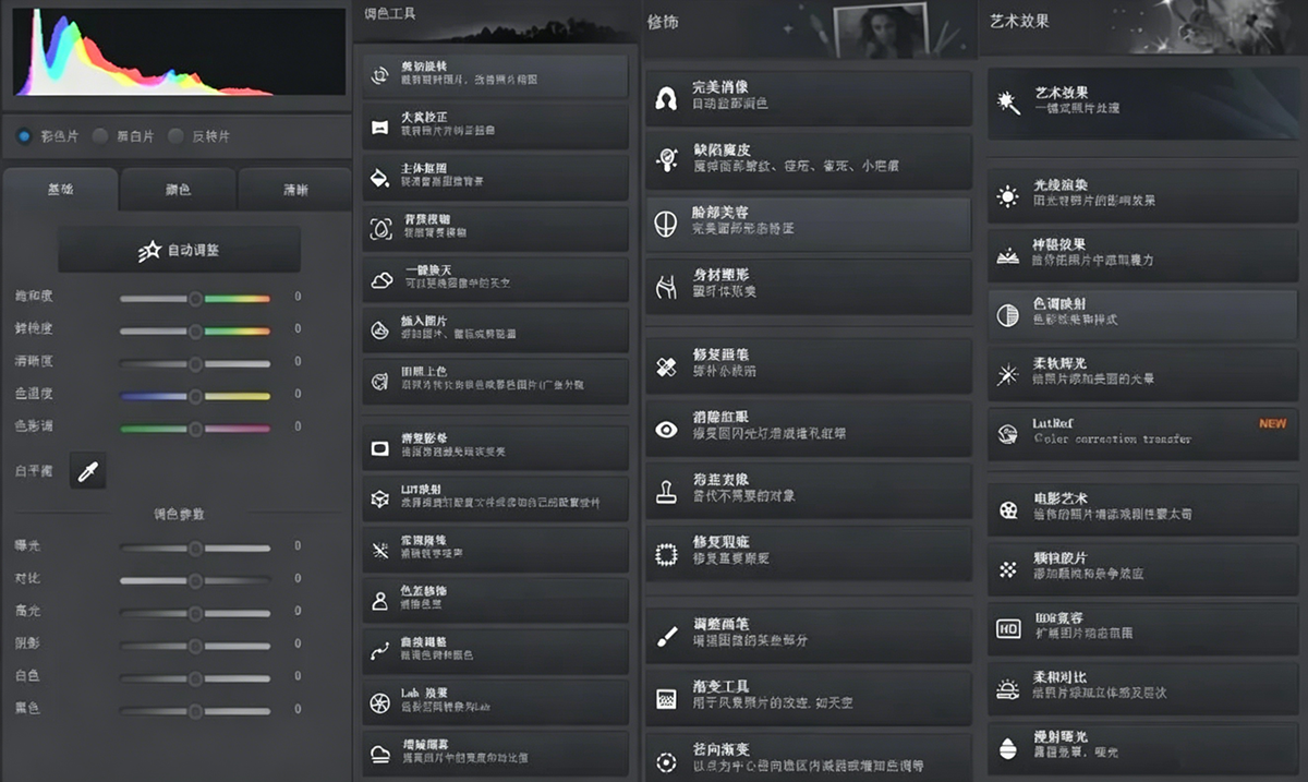 ds (3).png