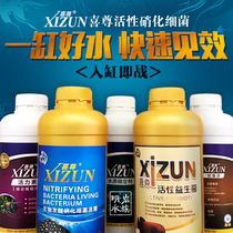 Digestive bacteria Xizun Nitrifying bacteria Probiotics Live Bacteria Yogurt Fish Fat Fish Tank Aquatic Water Stable Water Purification Agent