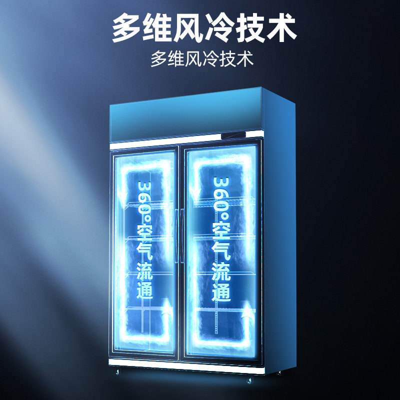 Star Refrigerator Beverage Cabinet Convenience Store Refrigerated Display Cabinet Supermarket Commercial Refrigerator Vertical Display Freezer