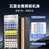 Star Refrigerated Cabinet, Refrigerated Display Cabinet, Fresh-Keeping Beverage Cabinet, Supermarket Display Commercial Refrigerator, Single-Door Vertical Freezer