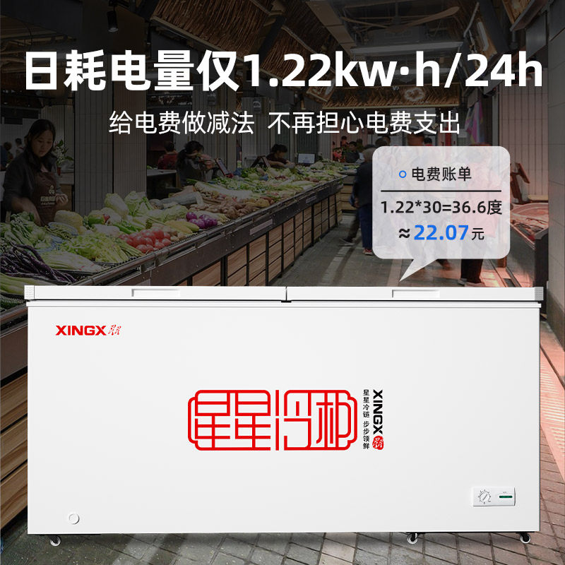 Star Freezer Commercial Freezer Large Capacity Refrigeration and Freezing Horizontal Single-Temperature Refrigerator Fresh-Keeping Freezer