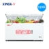 Tủ đông lớn XINGX / Star BD / BC-519E Tủ đông thương mại Tủ đông lớn Tủ lạnh lớn Tủ lạnh đơn nhiệt độ ngang