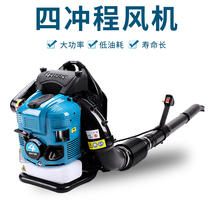 Four Stroke High Power Forest Petrol Wind Extinguishing Back Negative Type Snow Blower Road Blower