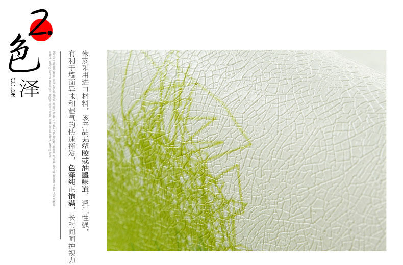 Affiche murale géante - Ref 2459882 Image 12