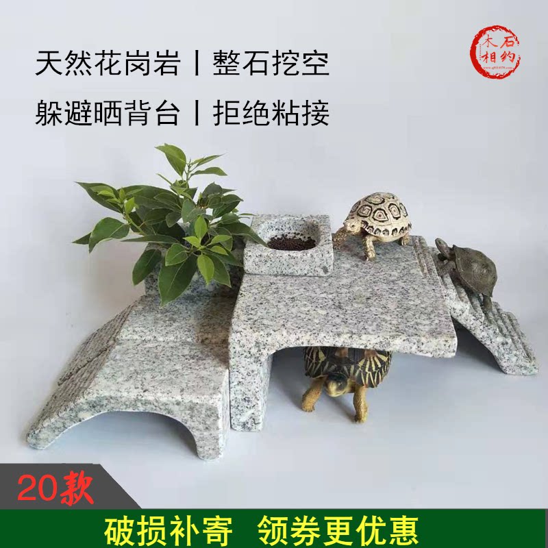 Turtle Sun Terrace Stone Granite Climbing Terrace Climbing Terra Natural Escape House Villa Tortoise Tank Built View Basil Turtle Sunburn