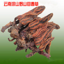 Selected deep mountains Yunnan wild Huichuangrass 100 grams 42 yuan Cistanche this year new goods shooting