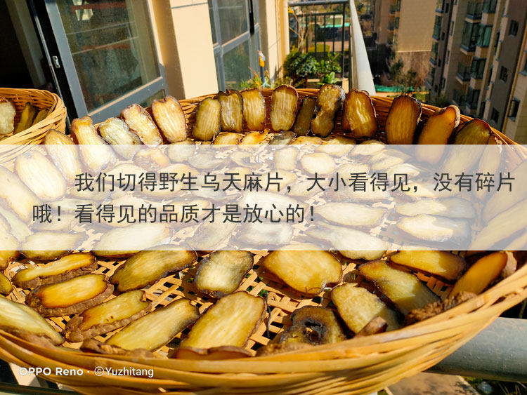 Wutian Ma Film 4.jpg