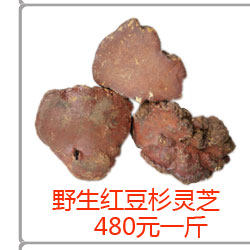 Jiugongge Group_04.jpg