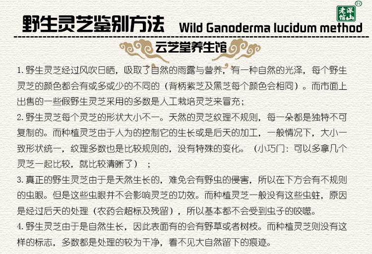 Как определить Ganoderma lucidum.jpg
