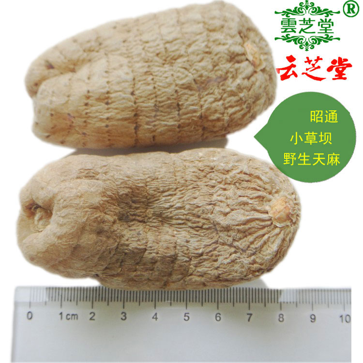 Double Crown Deep Mountain Old's Little Grass Dam Wild Gastrodin boutique One catty of this year New stock Grinding Powder