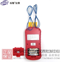 Biaozhi GM1312 Contact thermometer Thermocouple thermometer Thermometer Temperature measuring instrument Electronic thermometer