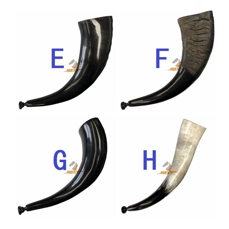 Taoist wizard Magic horn horn horn Natural real Buffalo horn Horn Horn horn Yak horn Trumpet horn prop