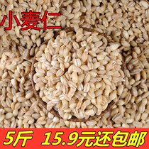 Wheat kernel rice peeled 5kg of whole grains farmers peeling wheat wheat kernel porridge peeled wheat