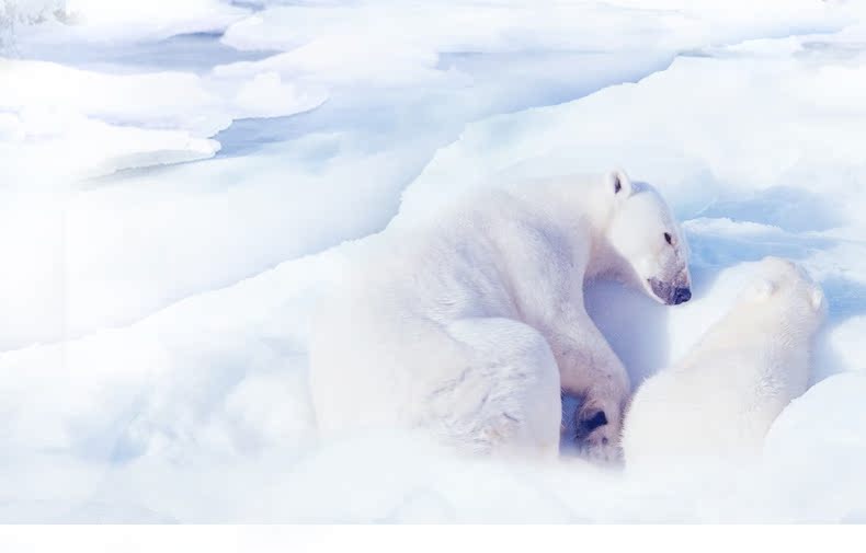 Pantalon collant jeunesse REALWILL - Ref 773412 Image 12