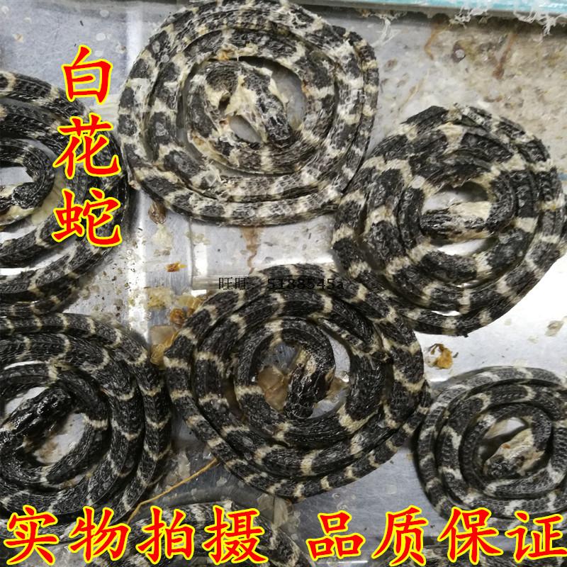 Traditional Chinese herbal medicine Oldenlandia Diffi money Oldenlandia 10 strips