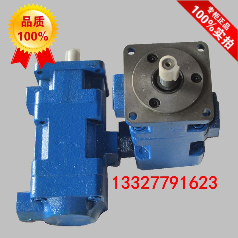 Manufacturers direct sales model YB1-40 10 YB1-50 10 YB1-32 6 dual blade oil pump priced excellent
