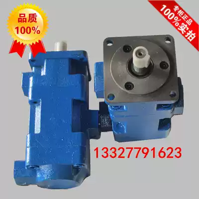 Factory direct sales double vane oil pump YB1-80 63 lubrication pump hydraulic pump YB1-80 80 combination pump