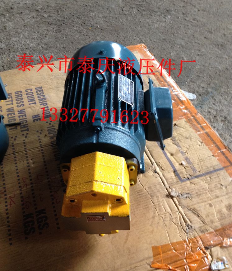 Interposed Diamond Ear Pump BB-B63 40 50 80 100 125 Swivel Gear Oil Pump Motor Unit Upright