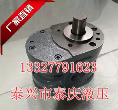 Gear oil pump HY01-100X25 50X25 70*25 35X25 25X25 surface grinder machine tool accessories