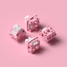 Вал g-square ram 拉姆轴 静音线性轴 60g