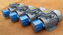 BB-B4JZ BB-B6JZ BB-B10JZ Cycloid gear pump set Inner shaft motor set
