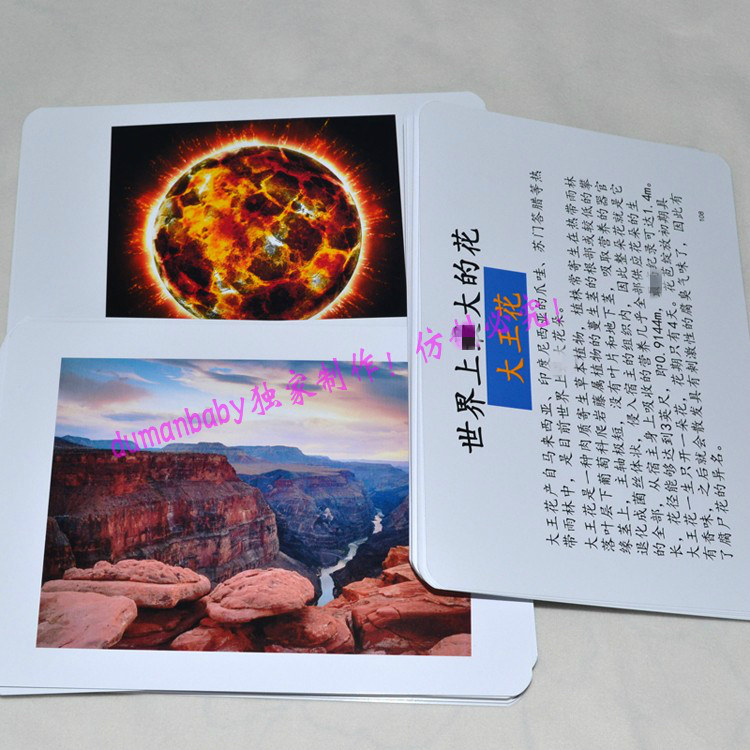 The world's ZUI card Early education flash card Infant cognitive card Duman concept Seven Tian's right brain development card