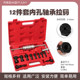 12-Piece Set of Special Slide Hammer Pullers for Inner Bearings, Bearing Extractor for Small Inner Bore Bearings, Bearing Removal Tool