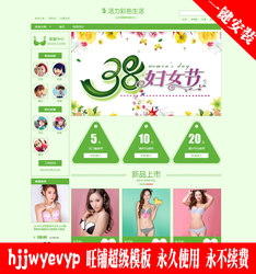 Promotion Taobao shop decoration template basic version of women's underwear bra, bra, pajamas decoration
