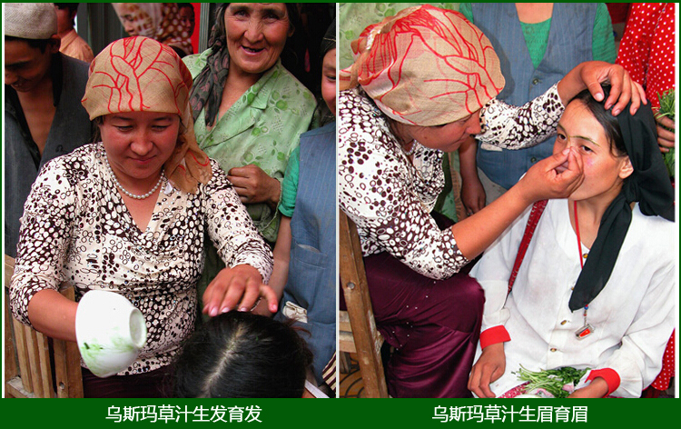 Tân Cương Ottoman Lông mày Chất lỏng Lông mày Chất lỏng Tăng trưởng Lông mày Chất lỏng Cỏ Ottoman Bút lông mày cho Nam và Nữ - Bút chì lông mày / Bột / Stick chì kẻ mày cho người mới bắt đầu