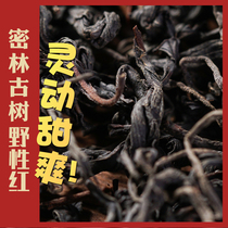2021 new tea black tea Yunnan black tea Yunnan ancient tree black tea ceremony Luzhou flavor bulk Fengqing mountain wild release