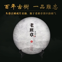 Zichang old Banzhang ancient tree tea Puer tea raw tea 2017 ancient tree head Spring pure material old class chapter