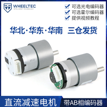 DC decelerated motor with photoelectric Hall encoder code disc speed measuring two wheels self-balancing trolley work training