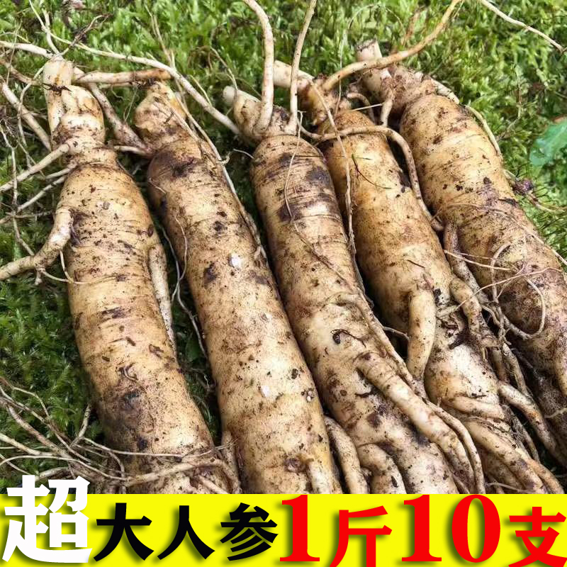 Changbai Mountain fresh ginseng fresh ginseng white ginseng sun-dried ginseng 500g wild ginseng with soil fresh ginseng pruning fresh ginseng