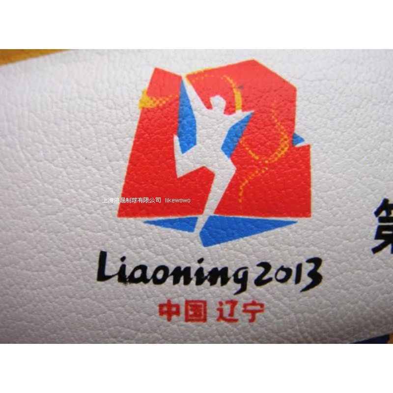 Ballon de volley - Ref 2016507 Image 14
