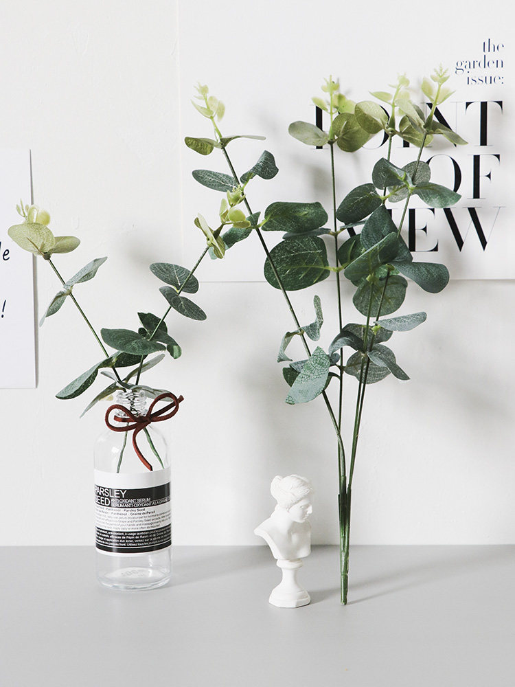 Eucalyptus leaf ins simulation leaf pendulum shot single photography props Photo props background decoration green leaf pendulum shot