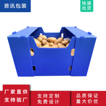 PP hollow board plastic board turnover box corrugated board fruit and vegetable agricultural products packaging transit turnover box Wantong board