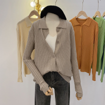 Llora 2021 new autumn Polo collar long sleeve Korean version of foreign style retro bottoming knitwear sweater women tide