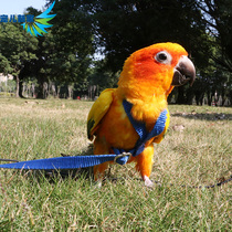 Beloved new home parrot flying rope strap strap out walking bird rope training rope parrot flying rope