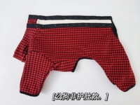 Красная мужская собака не -бейблли