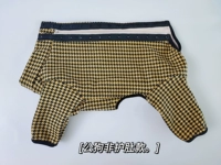 Желтая мужская собака не -брюшная