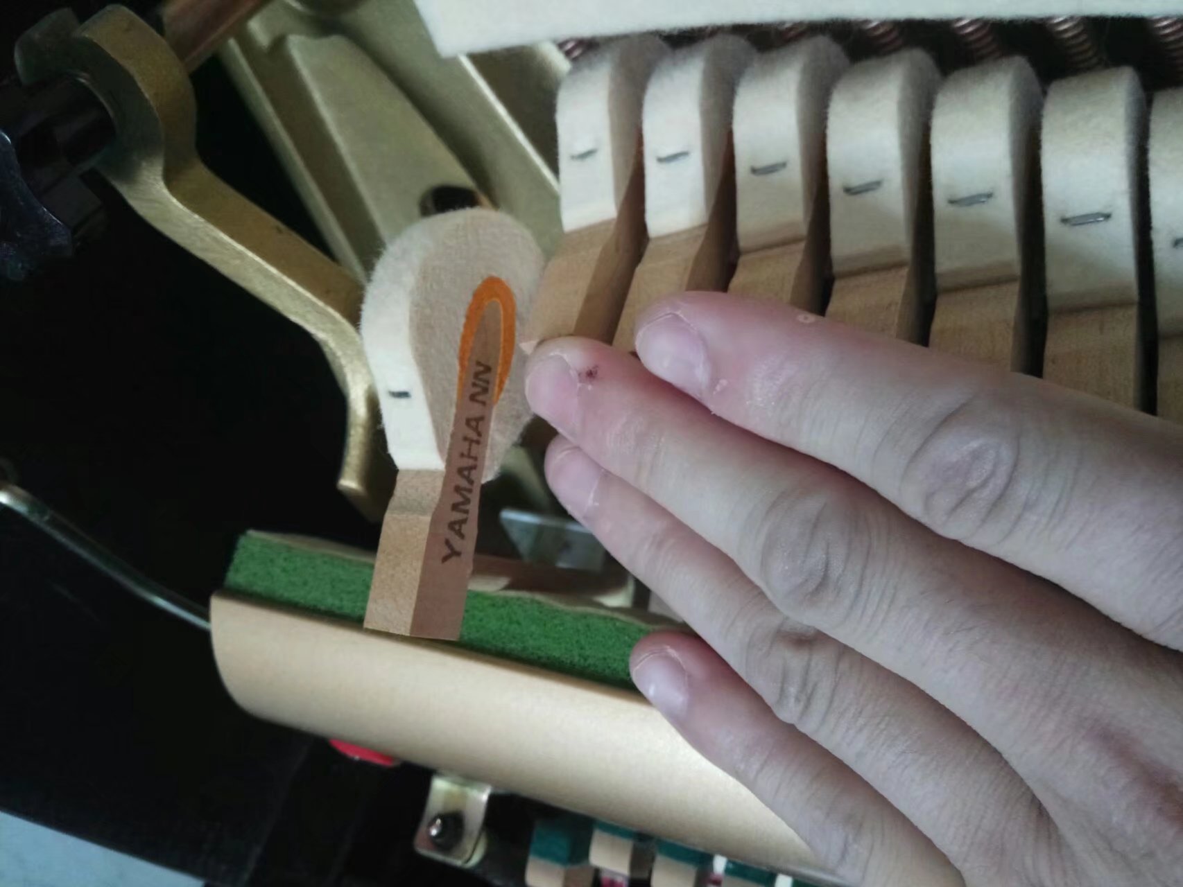 Yamaha SX101RBI. Yamaha nhập khẩu trực tiếp nhà máy sản xuất đàn piano tự động cũ piano điện