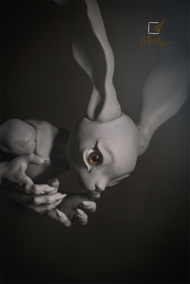 Crazy Rabbit-mc-20.jpg