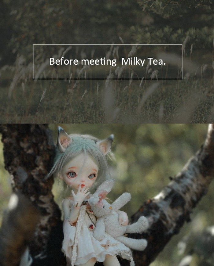 dz_milkytea_01.jpg