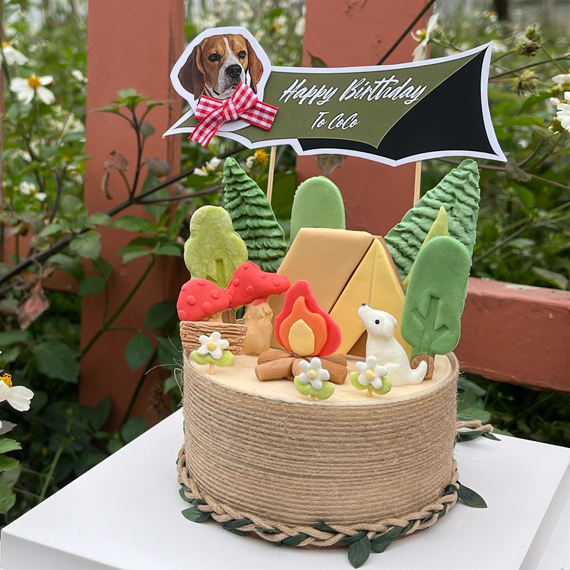 Pet Cat and Dog Camping-Themed Pure Meat Low-Fat Birthday Cake