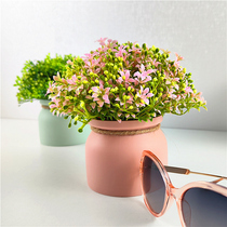 Optical shop decoration props simulated flowers physical store window counter display ornaments glasses display stand shooting props