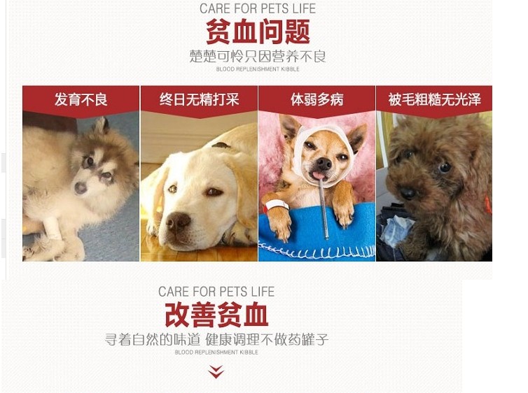 Hạt máu táo đỏ Wisconsin Teddy tăng cường tiêm chủng cho chó sản phẩm chăm sóc sức khỏe cho mèo sữa cho chó mẹ sau sinh