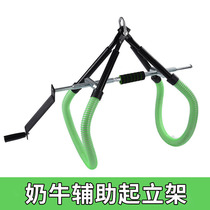 Cow Assisted Standing Rack Dairy Cow Assisted Standing Rack Dairy Cows Paralysed Standing Ovation Tool Standing Shelf