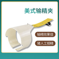 Pig with American American lose and fine clamp ring-style mother pig to lose and lean back to mock the male pig climb