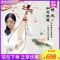 Huale Qin Yun Adult Pipa Pipa musical instrument Beginner introduction Childrens pipa piano Poplar Beginner pipa