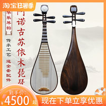 Hua Leqin rhymes with professional performance of Anogusuu Yimu Adult pipa instrument beginology practice test class beginnics solo